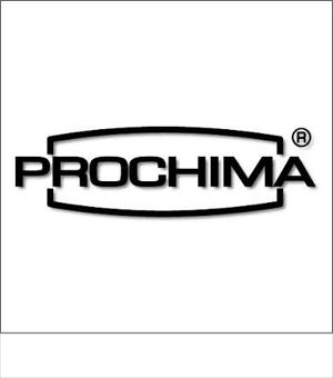 PROCHIMA - GESSO CERAMICO - 1 kg - MATERIALE DA COLATA - La Casa dei Colori